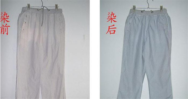 染衣加盟