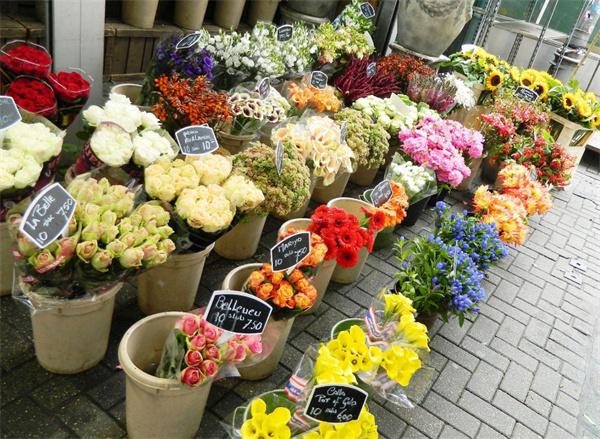 鲜花店加盟