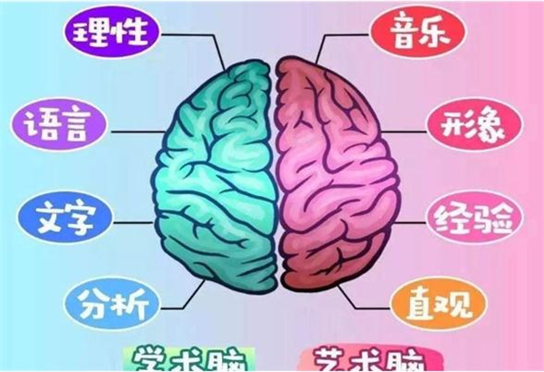 全脑教育加盟