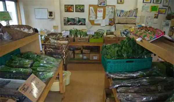 蔬菜店加盟