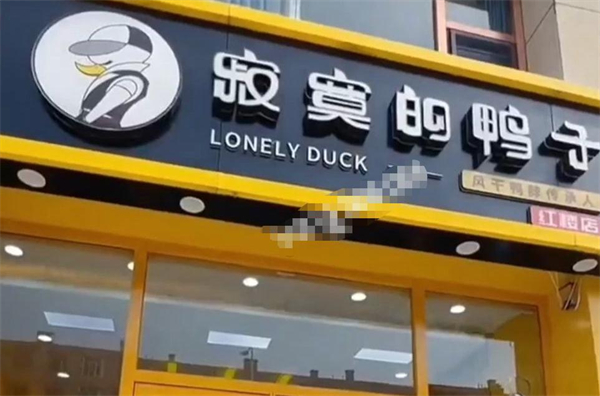 寂寞的鸭子加盟