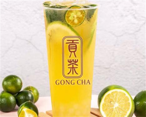 贡茶连锁加盟