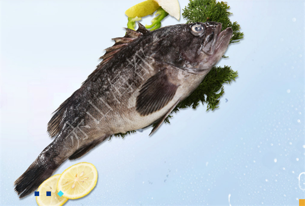 海洋食品加盟