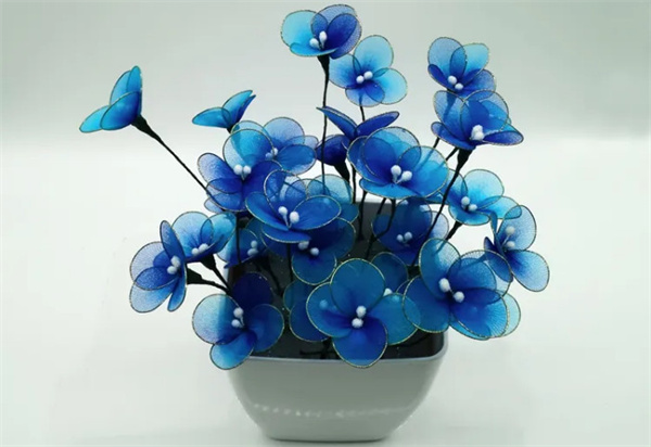 丝袜花加盟