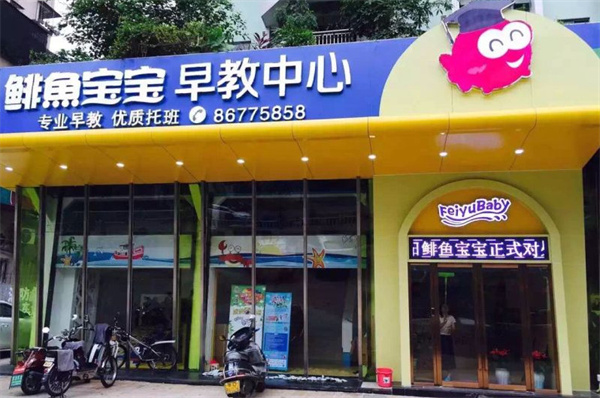 鲱鱼宝宝加盟