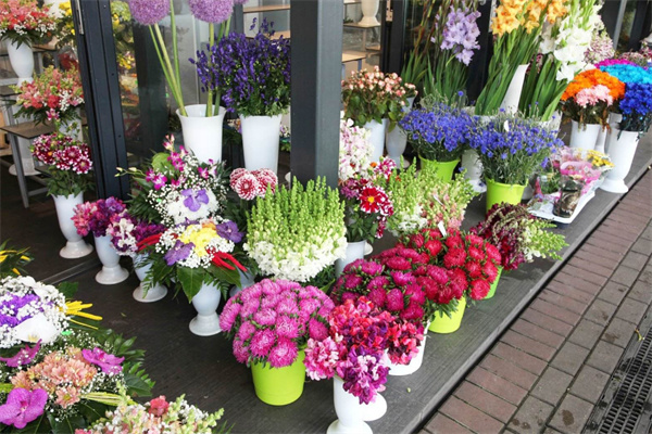 玫瑰之约鲜花店加盟