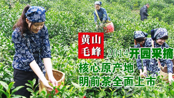 谢裕大加盟