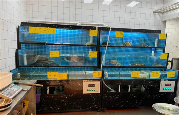 陆食7号海鲜本帮江浙菜加盟