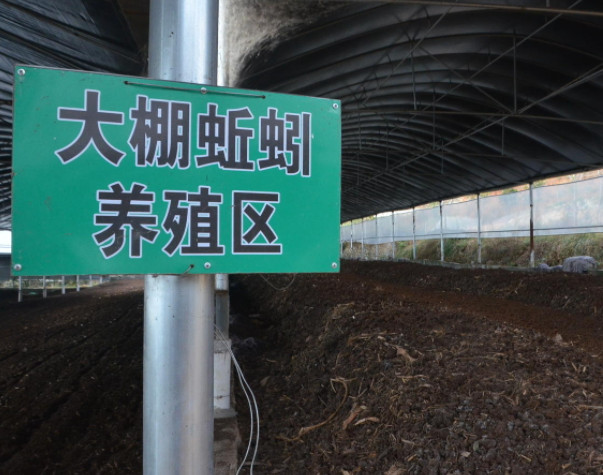 蚯蚓养殖加盟