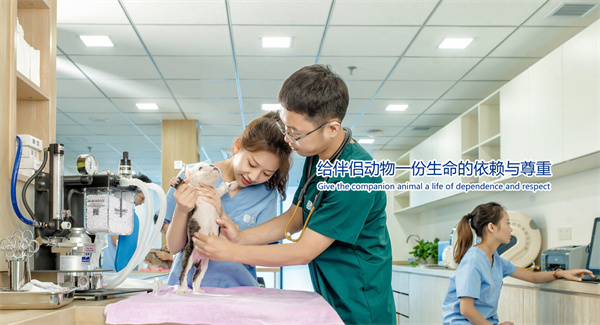 宠颐生动物医院加盟
