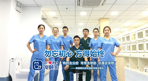 宠颐生动物医院加盟