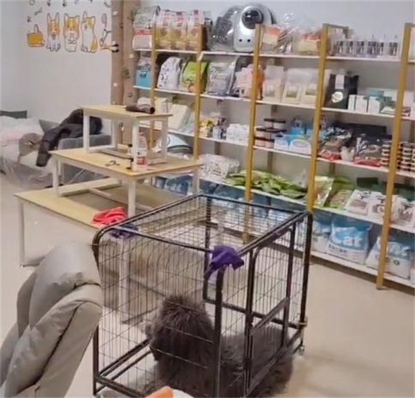 24小时无人洗宠店加盟