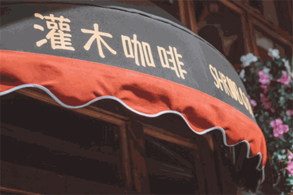 灌木咖啡
