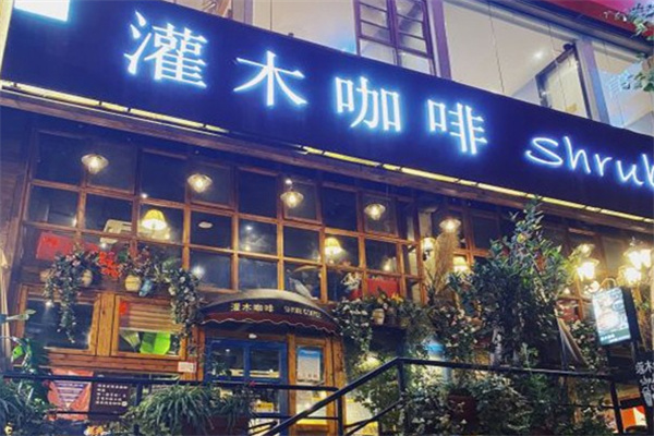 灌木咖啡