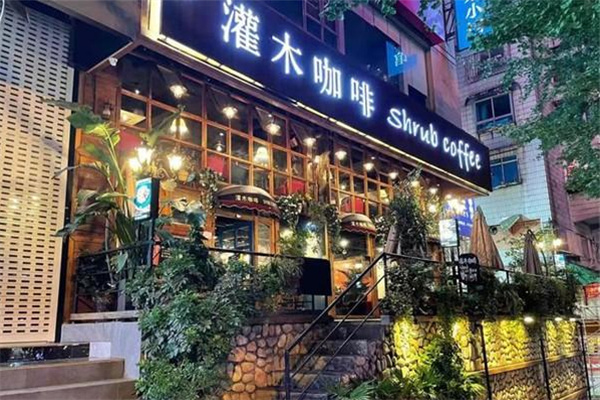 灌木咖啡