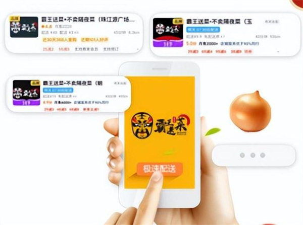 霸王送菜加盟