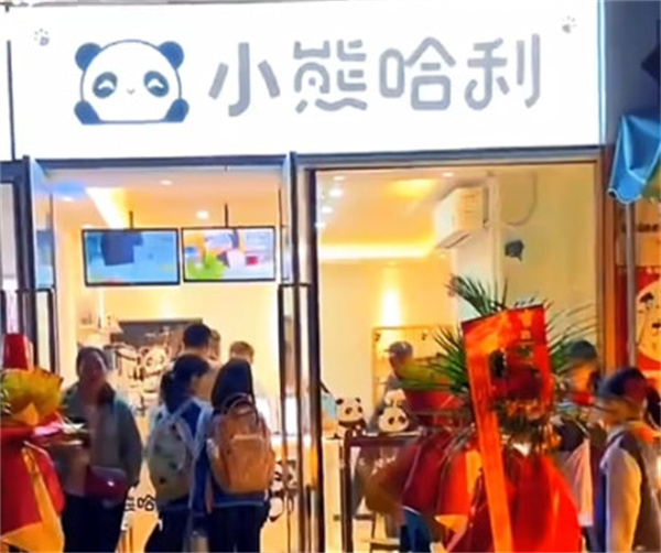 小熊哈利奶茶加盟