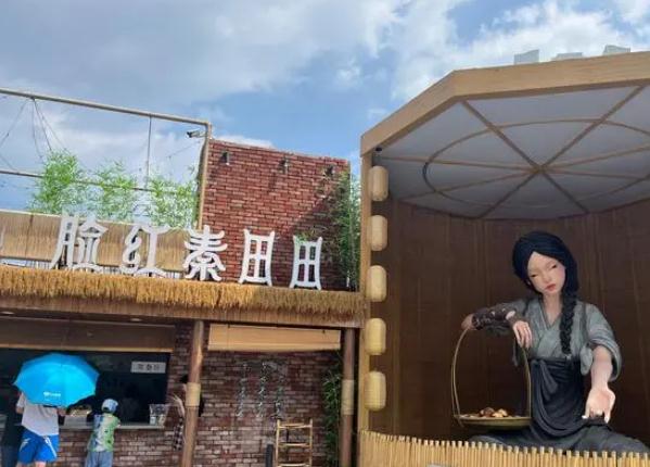 脸红秦田田奶茶加盟