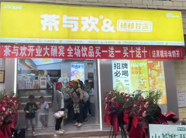 茶与欢加盟
