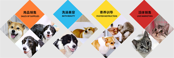 圣宠宠物店加盟