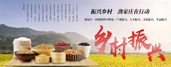 劲家庄食品代理加盟