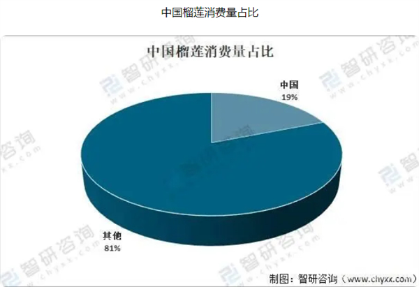 榴莲满满