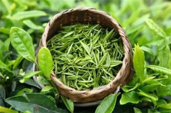 茶叶加盟代理