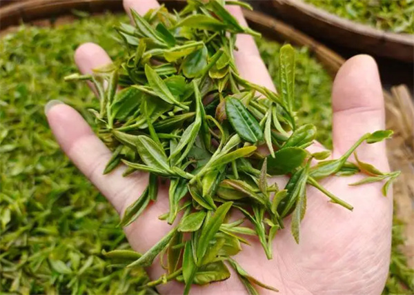 茶叶加盟代理