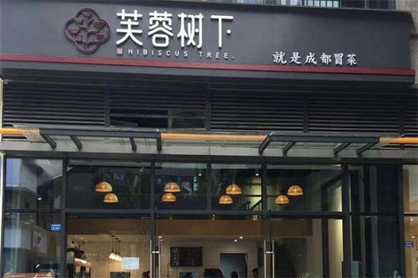 芙蓉树下加盟