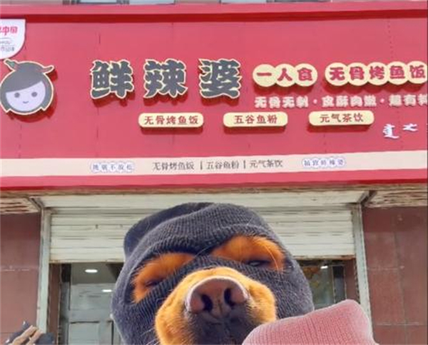 鲜辣婆无骨烤鱼饭加盟