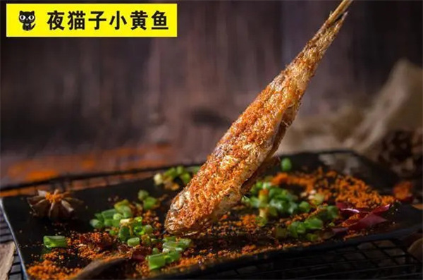 夜猫子小黄鱼加盟