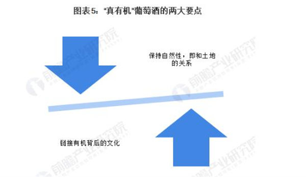 波尔多进口红酒加盟