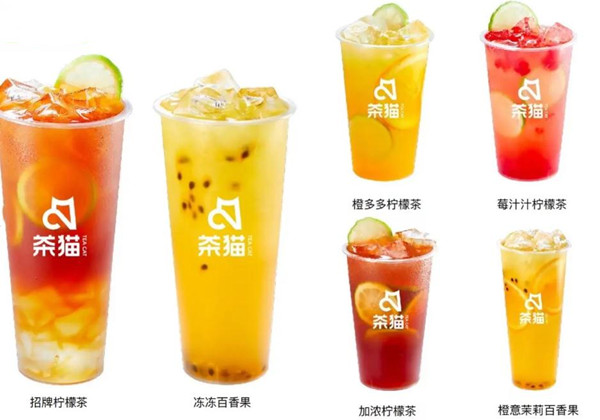 茶猫加盟