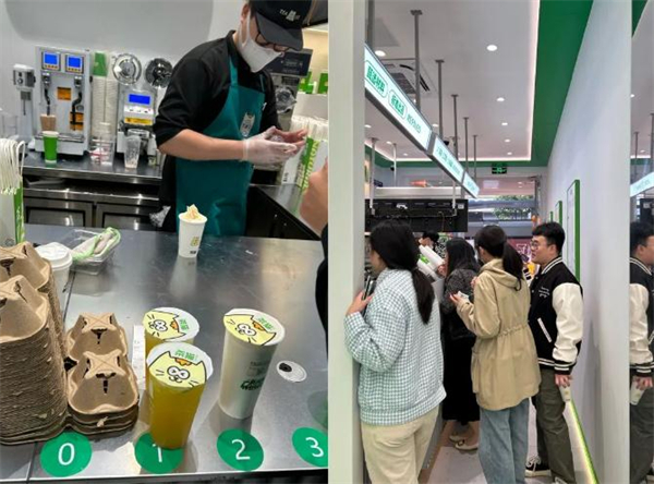 茶猫加盟