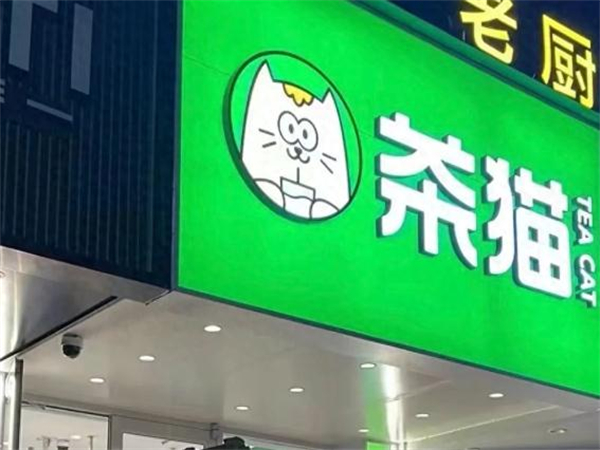 茶猫加盟