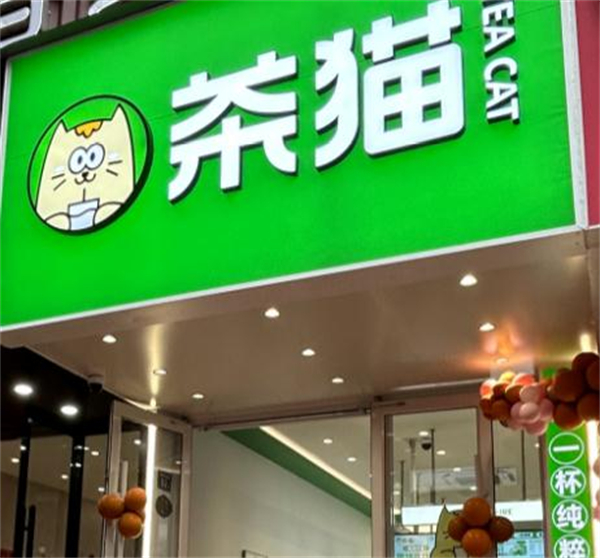 茶猫加盟