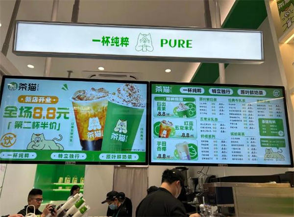 茶猫加盟
