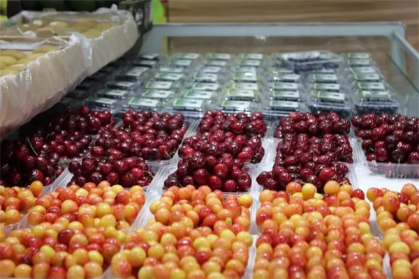 果便宜仓储式会员店加盟