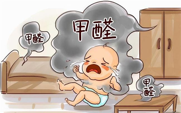 甲醛治理加盟