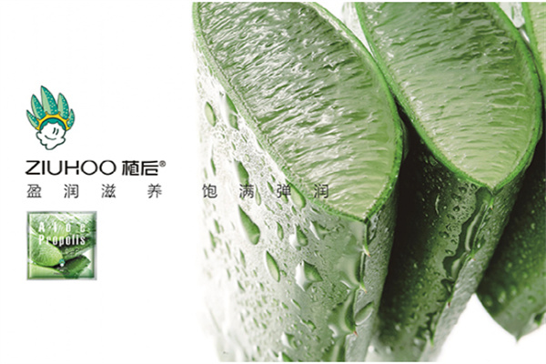 植后芦荟加盟费
