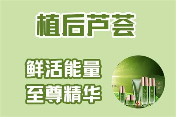 植后芦荟加盟费