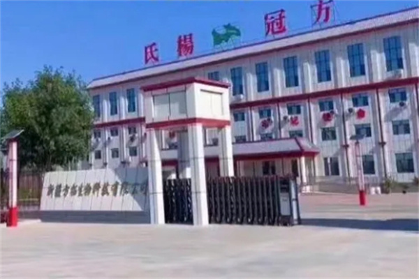 方冠杨氏中药面膜加盟