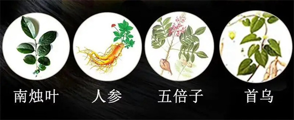 南烛叶植物染发加盟费