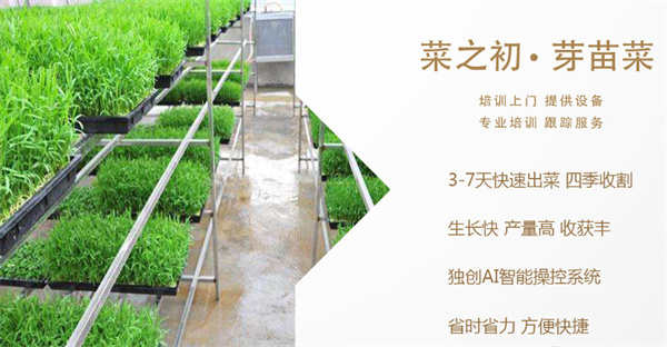 菜之初芽苗菜加盟