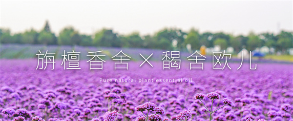 旃檀香舍加盟