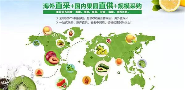 果掌门水果连锁加盟费