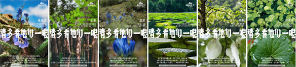 植物医生化妆品加盟费