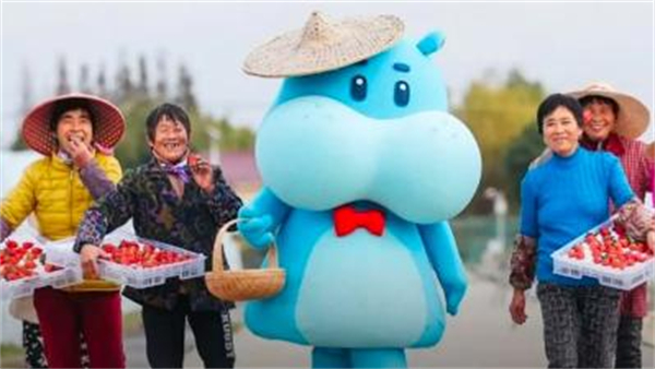 盒马优选加盟