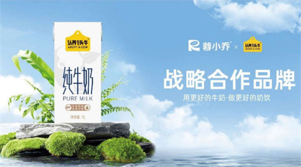 蓉小乔果咖加盟