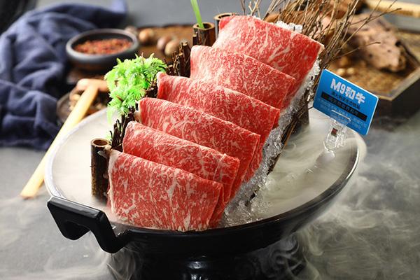 上海开火锅店需要多少钱？
